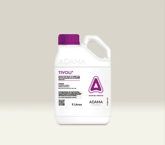 TIVOLI 5L