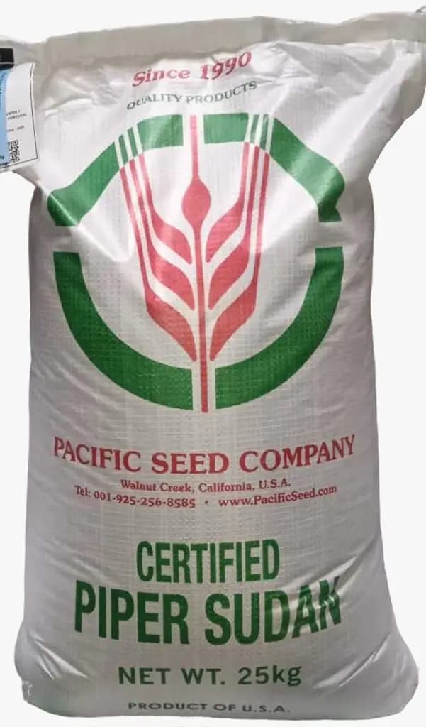 Sorgo - PIPER 25KG
