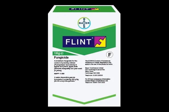 FLINT 300GR