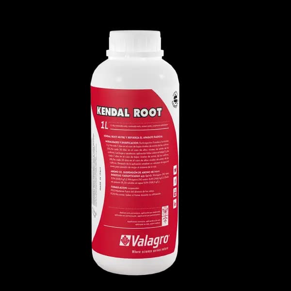 KENDAL ROOT 1L
