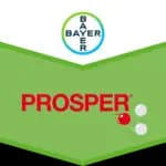 PROSPER 1L
